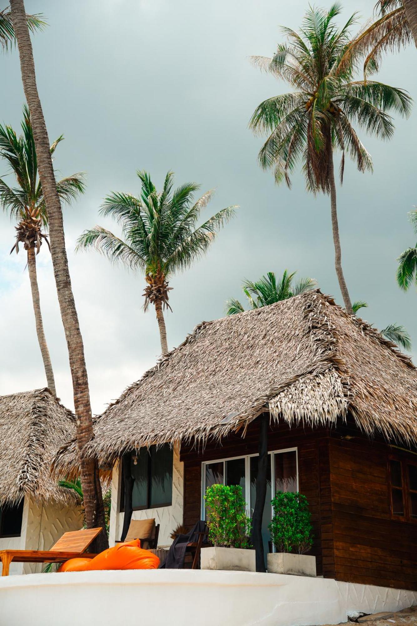 Wild Wood X Hansa Beach Fitness Resort Thong Sala Exterior foto